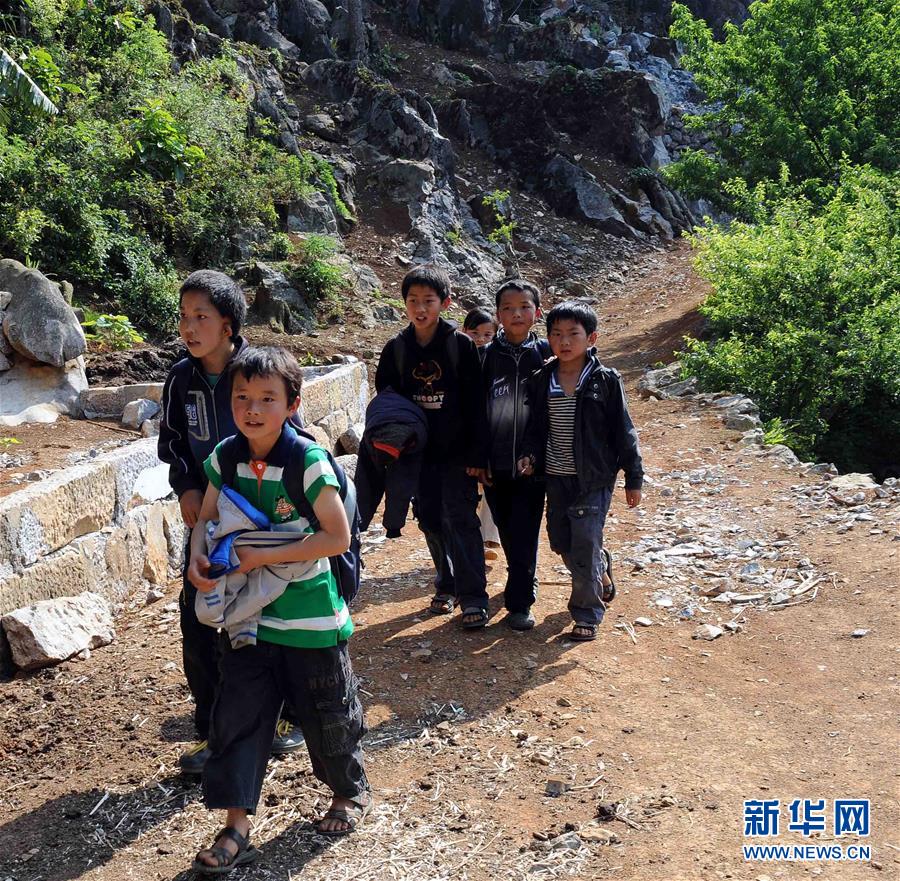 （壯麗70年·奮斗新時代·圖文互動）（4）“石頭地”里種出新希望——云南西疇縣脫貧記