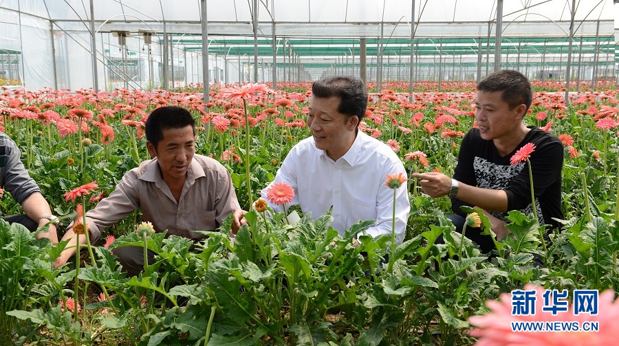 （新華全媒頭條·圖文互動）（15）天翻地覆慨而慷——從慶祝中華人民共和國成立70周年大型成就展看新中國光輝歷程